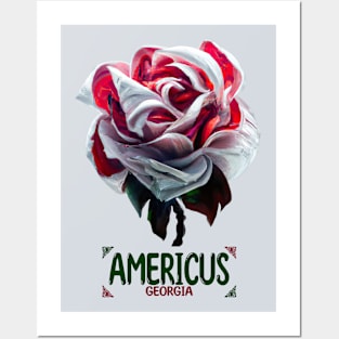 Americus Georgia Posters and Art